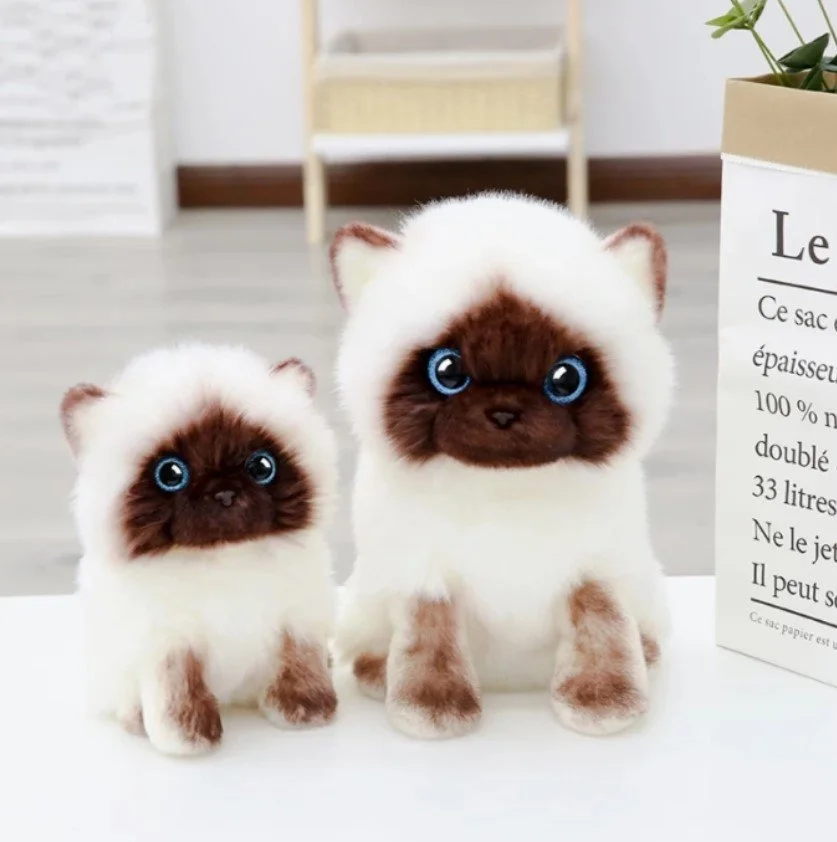 Siamese plush cheap